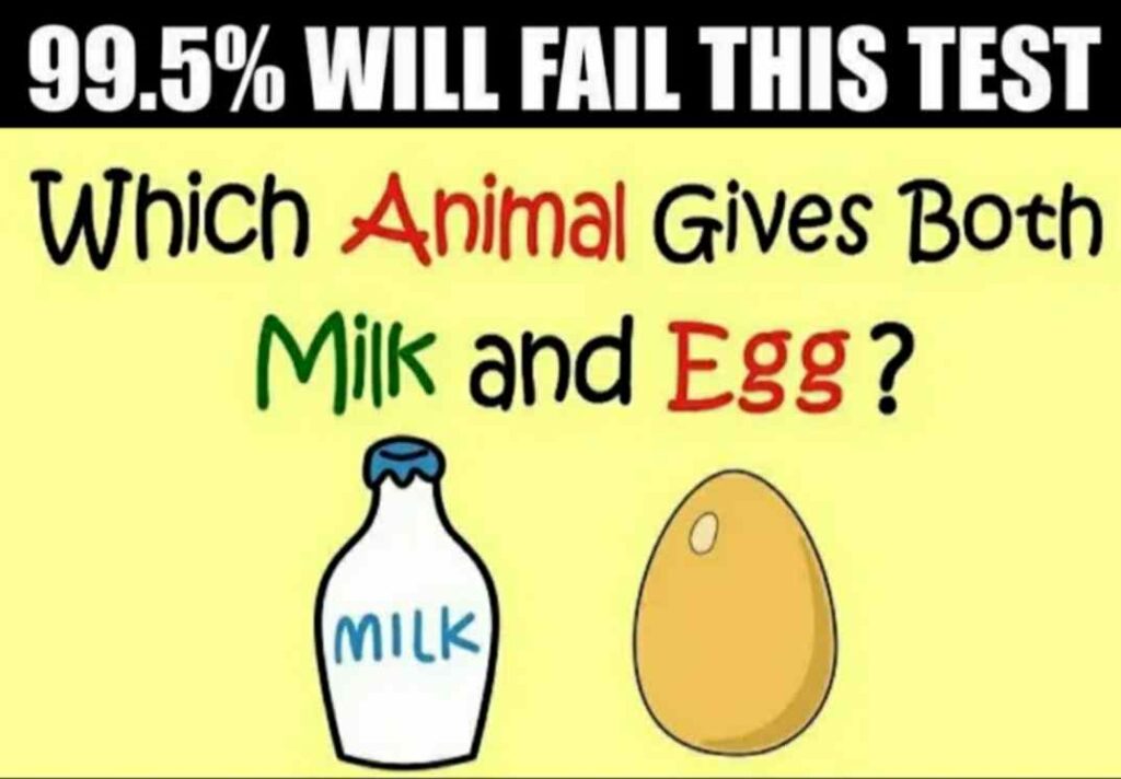 which animal gives both eggs and milk?