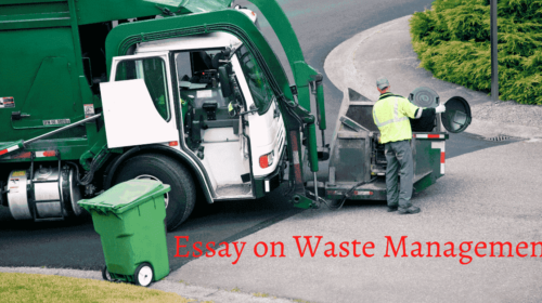 Essay on Waste Management