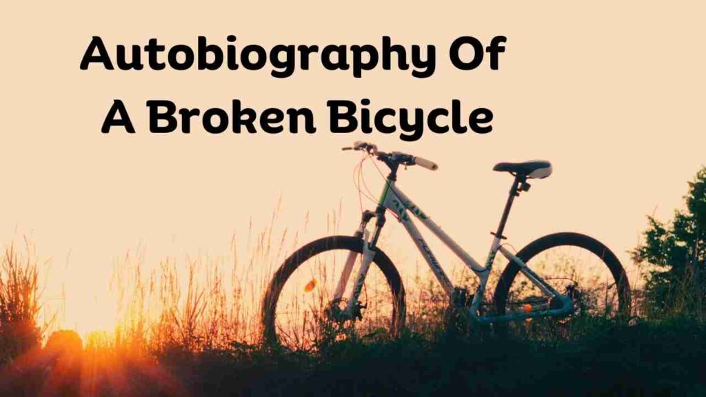 Autobiography Of A Broken Bicycle