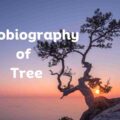 Autobiography Of A Tree